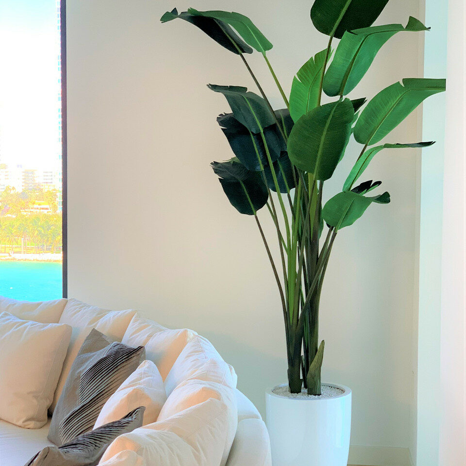Ave-do-paraíso Ade 2,74 m com vaso Ben em branco brilhante